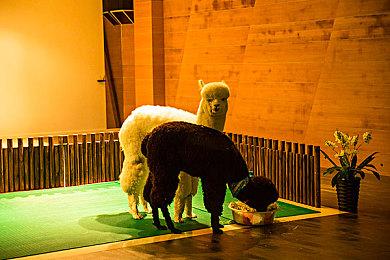 “瓦格纳模拟器”《私人军事经理》今日上线，从零开始组建你的佣兵公司